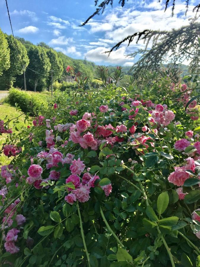 La Provencale B&B Duravel Екстериор снимка